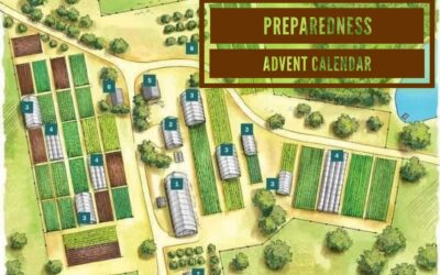 Preparedness Advent Calendar … Day 1